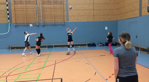 20170408_114140006_iOS