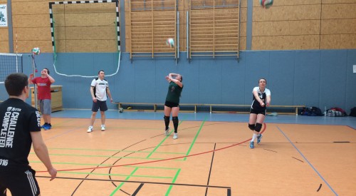 20170408_114156521_iOS