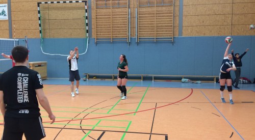 20170408_114158956_iOS