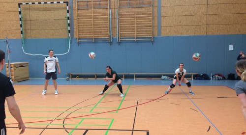 20170408_114207659_iOS