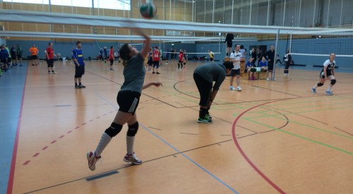 20170408_114340606_iOS