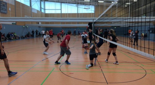 20170408_114403377_iOS