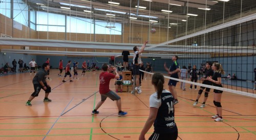 20170408_114424343_iOS