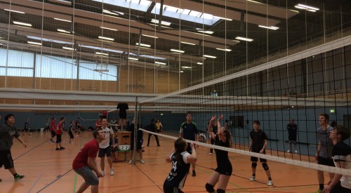 20170408_114426892_iOS