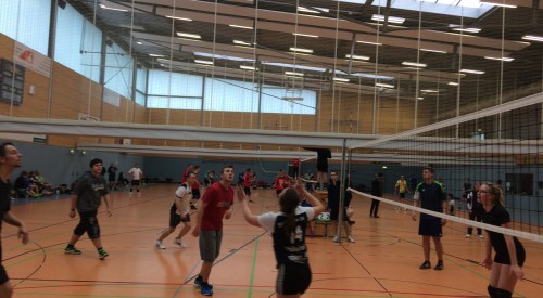 20170408_114429014_iOS