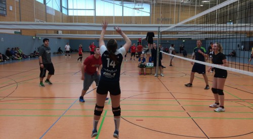 20170408_114631246_iOS