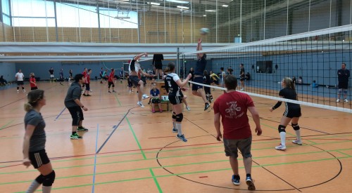 20170408_114718553_iOS