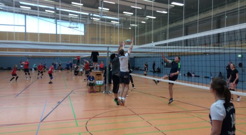 20170408_114807219_iOS