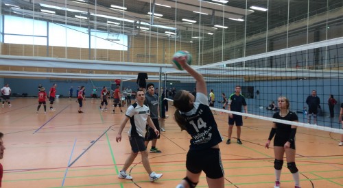 20170408_114829807_iOS