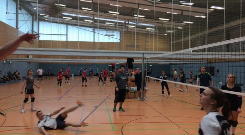 20170408_114831355_iOS