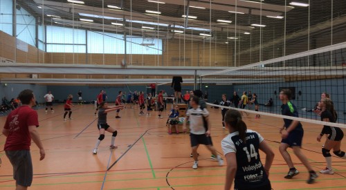 20170408_114835992_iOS