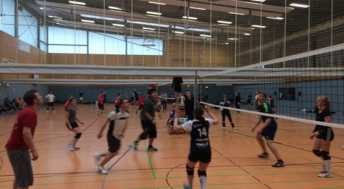 20170408_114836856_iOS