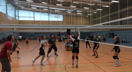 20170408_114837557_iOS