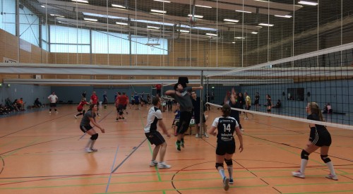 20170408_114838457_iOS