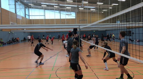 20170408_114914460_iOS