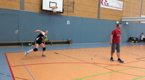 20170408_114927499_iOS