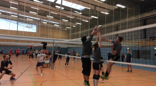 20170408_114930668_iOS