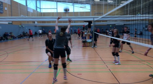 20170408_115024030_iOS