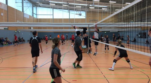 20170408_115025229_iOS