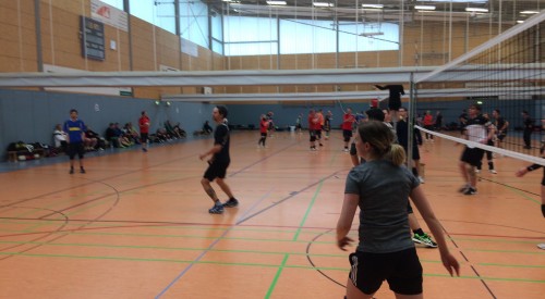 20170408_115026344_iOS