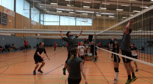 20170408_115029031_iOS