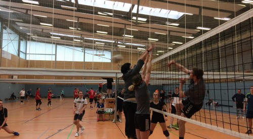 20170408_115034100_iOS