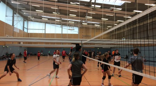 20170408_115035306_iOS