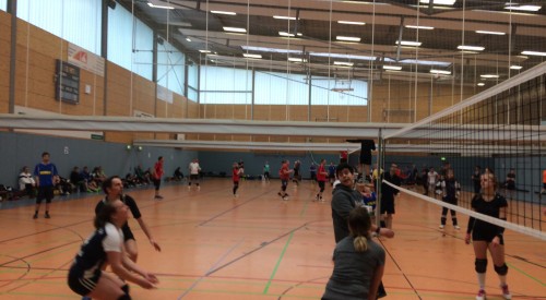 20170408_115037207_iOS