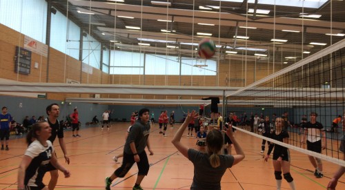 20170408_115038541_iOS