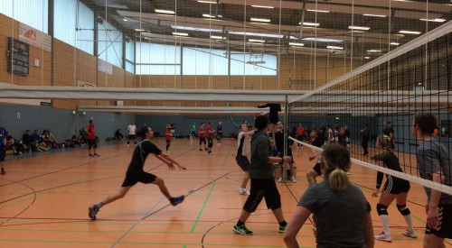 20170408_115039842_iOS