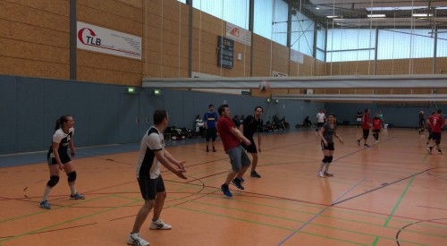 20170408_115057463_iOS