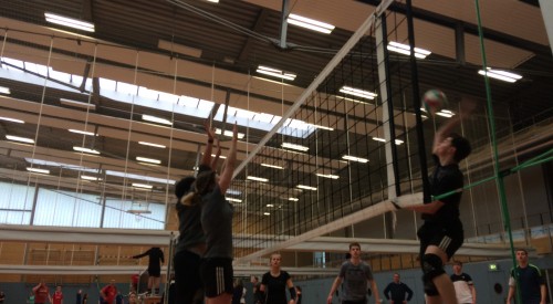 20170408_115131120_iOS