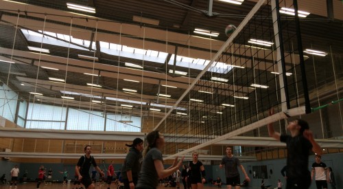 20170408_115135164_iOS