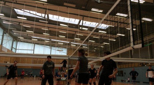 20170408_115136198_iOS