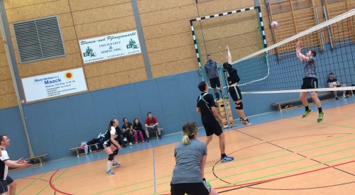 20170408_115349728_iOS