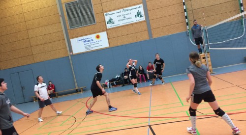 20170408_115351387_iOS