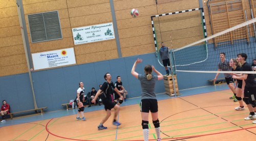 20170408_115352754_iOS