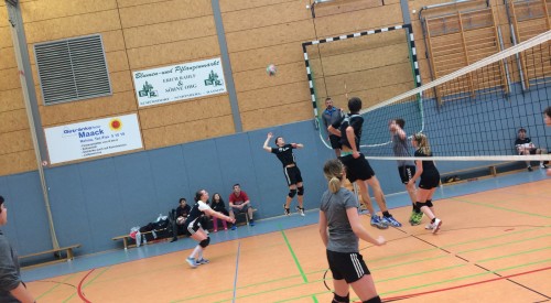 20170408_115353813_iOS