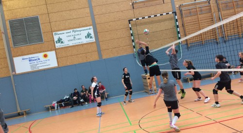 20170408_115356114_iOS