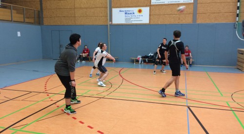 20170408_115413344_iOS