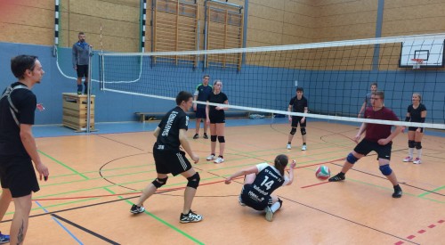 20170408_115525364_iOS