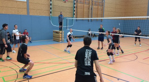 20170408_115543075_iOS