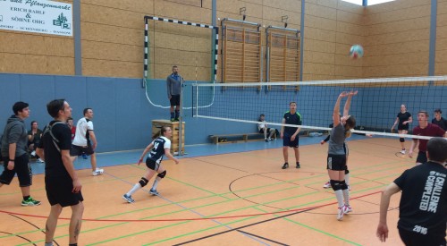 20170408_115544242_iOS