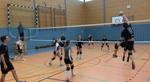 20170408_115545567_iOS