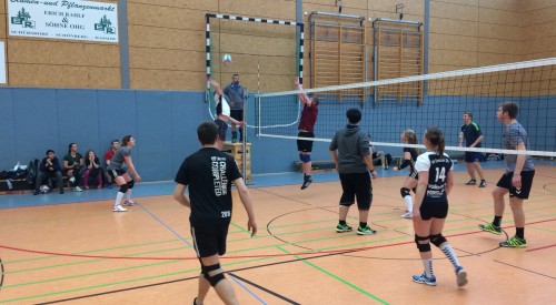 20170408_115655191_iOS