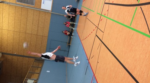 20170408_115813365_iOS