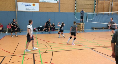 20170408_115829705_iOS