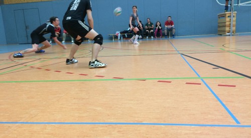 20170408_120131469_iOS