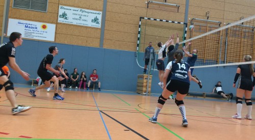 20170408_120229612_iOS