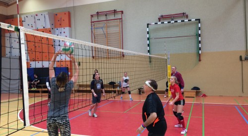 20170114_113416200_iOS